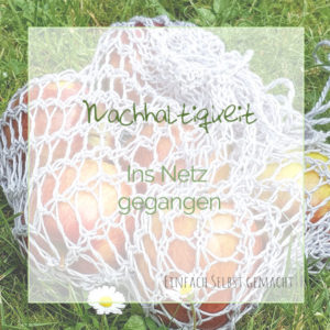 Ins Netz gegangen insNetzgeGangen