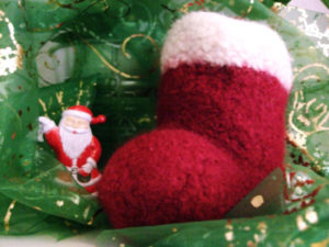 DSCF6596-Kopie